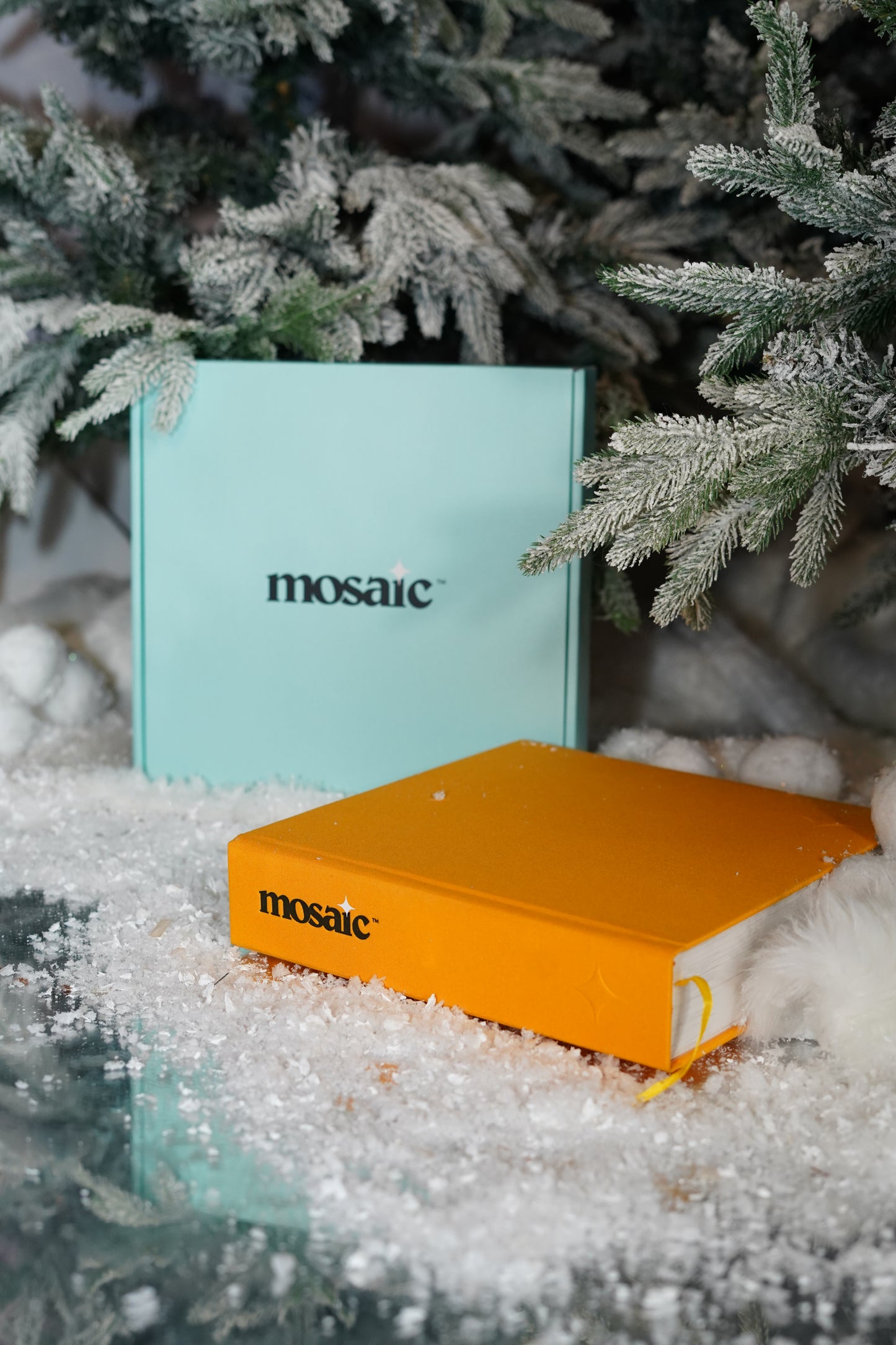 Mosaic Journal: Album & Prints Bundle (Gift)